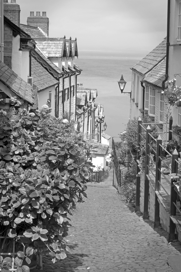 Old Clovelly, Devon - Julie Humphries